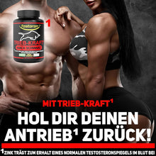 Lade das Bild in den Galerie-Viewer, TRIEB-KRAFT mit Zink - trägt zum Erhalt eines normalen TESTOSTERONSPIEGELS bei