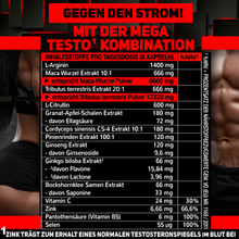 Lade das Bild in den Galerie-Viewer, TOP TESTO BLASTER mit Zink - trägt zum Erhalt eines normalen TESTOSTERONSPIEGELS bei
