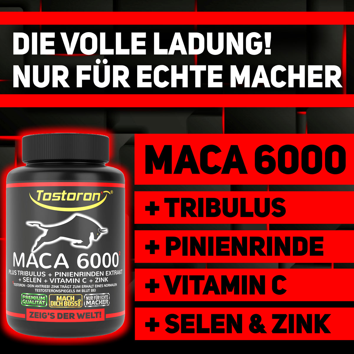 MACA 6000