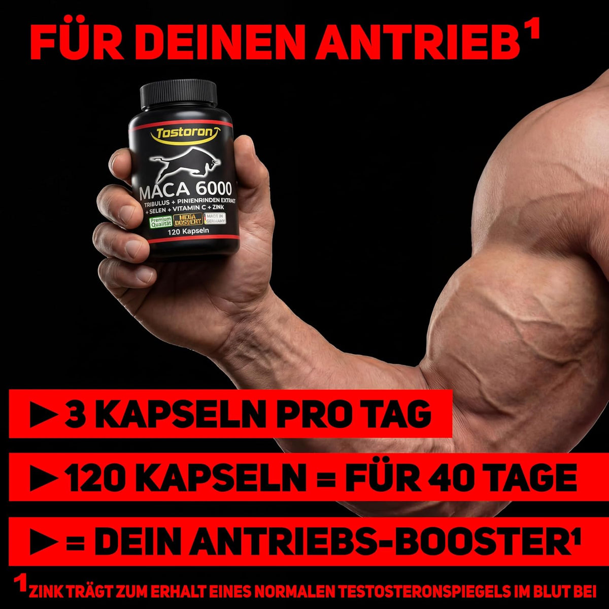 MACA 6000
